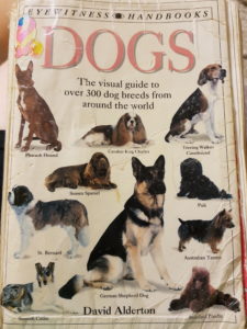 the-dog-book-classic